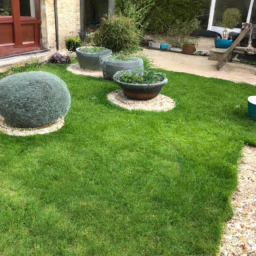 Techniques de taille pour maintenir un jardin esthétique et en bonne santé Thonon-les-Bains